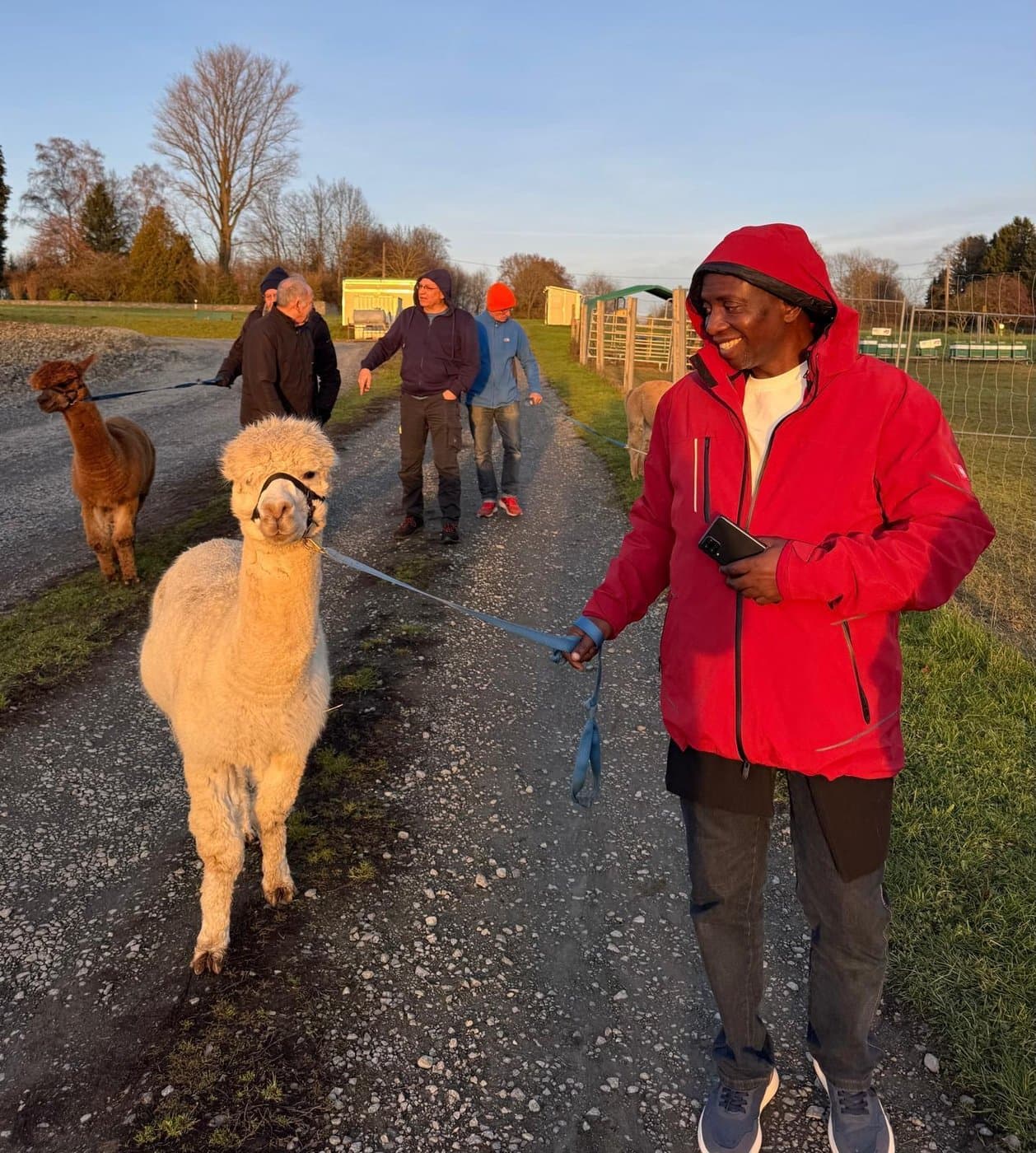 Nigerian delegate walking alpaca at golden hour — animal therapy at the Family & CareFarm